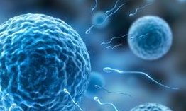 汤阴仁爱门诊不孕不育（安阳市汤阴哪看不孕不育好）