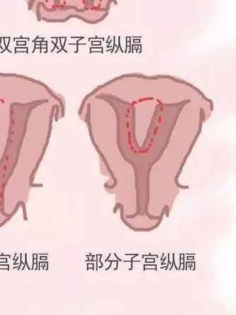 中部战区总医院做三代试管婴儿成功率高不高？什么因素可以影响到试管成功率