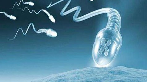 女性厦门试管婴儿经历过程是否痛苦？