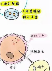 囊胚级别前面的数字是4开头的好还是6开头的好？