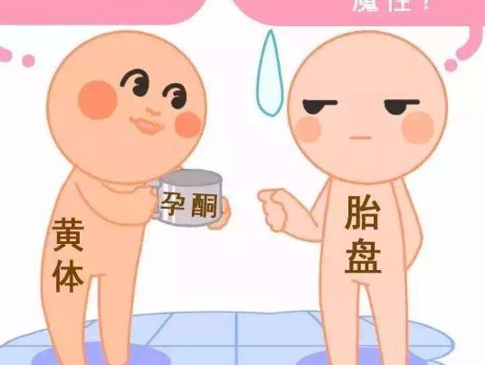 吉林第二代试管婴儿费用明细是怎么样的？详细解读