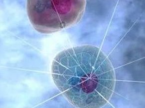 试管婴儿移植失败？你必须了解的黄体支持知识！