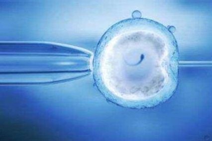 鲜胚移植后女性有想同房的感觉会影响着床吗？